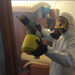 Уничтожение клопов в квартире. Орёл